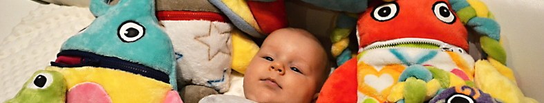Banner profilu