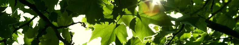 Banner profilu