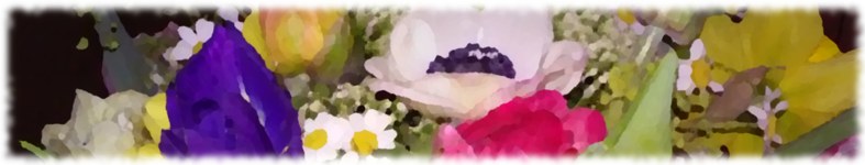 Banner profilu