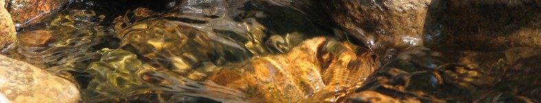 Banner profilu